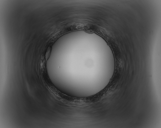 X0000086880914200705071158