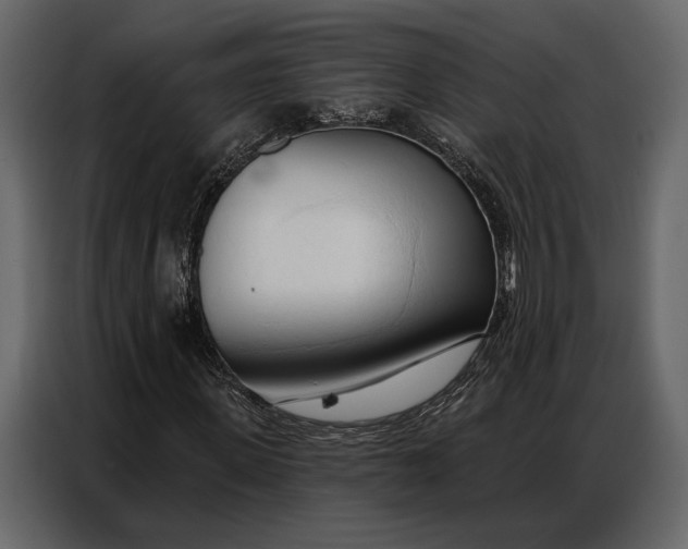 X0000086880915200705071158