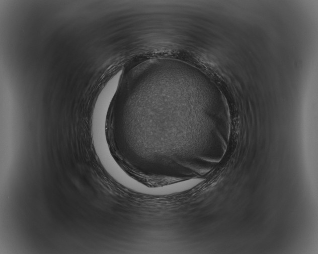 X0000086880916200705071158