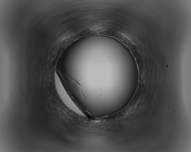 X0000086880917200705071158