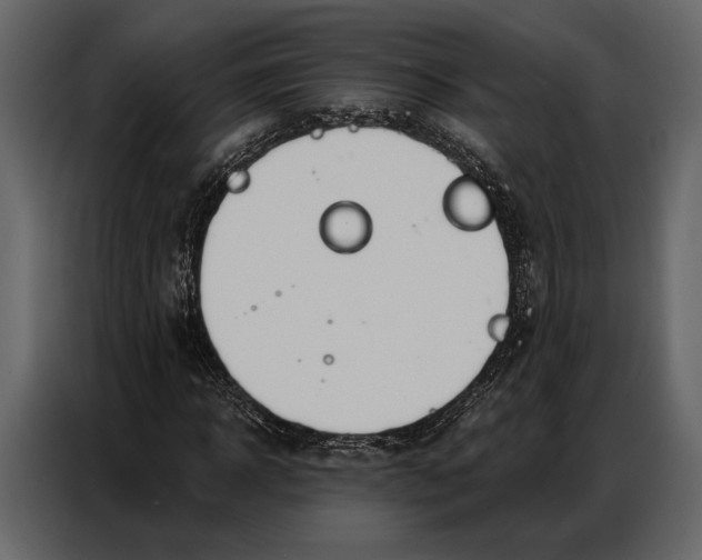 X0000086880918200705071158