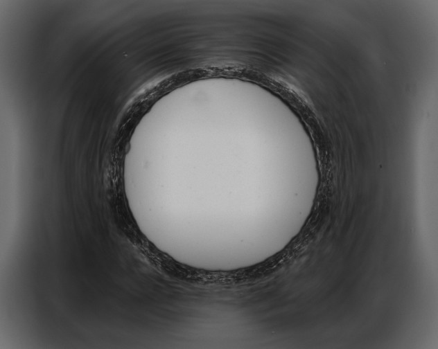 X0000086880920200705071158