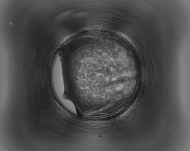 X0000086880921200705071158