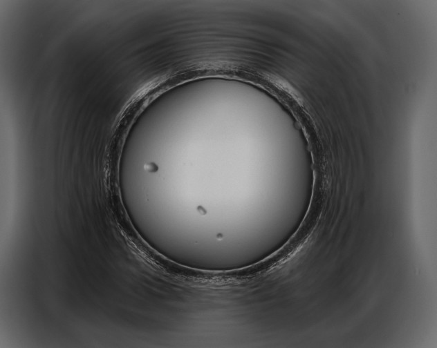 X0000086880922200705071158