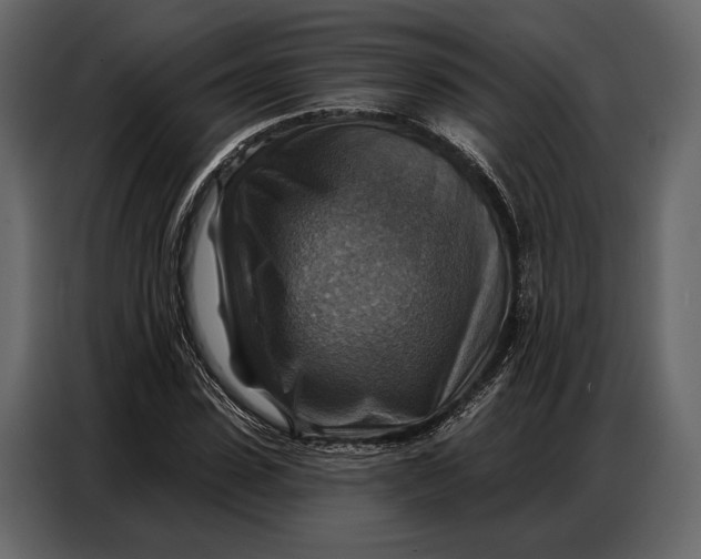 X0000086880923200705071158