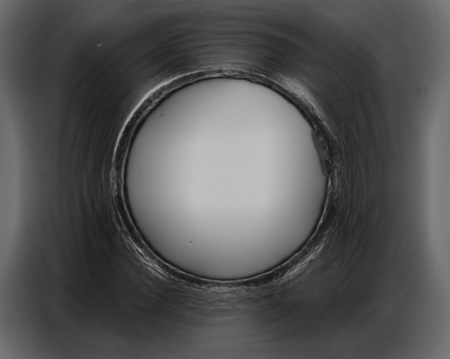 X0000086880924200705071158