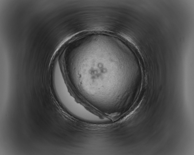 X0000086880925200705071158