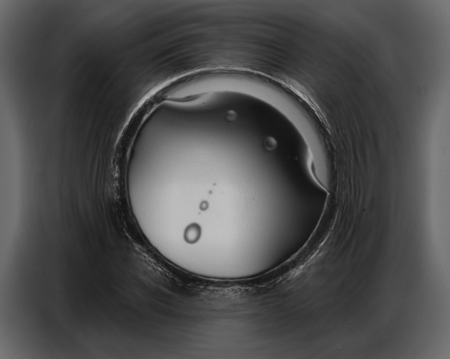 X0000086880926200705071158