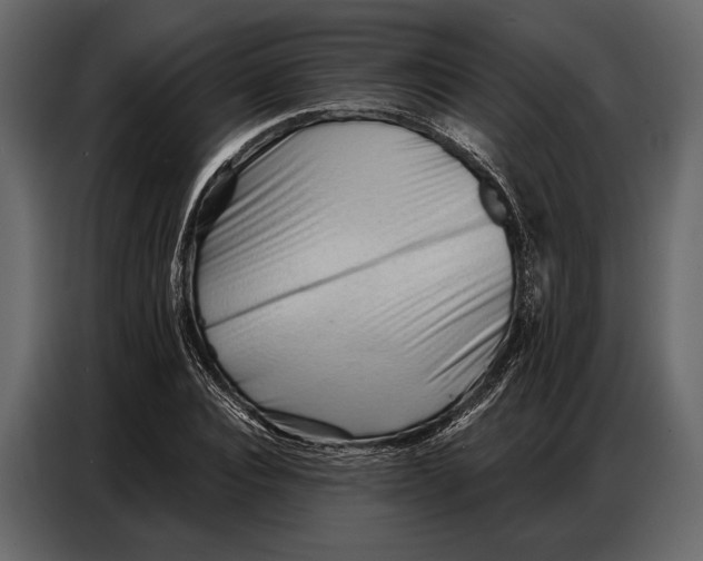 X0000086880928200705071158