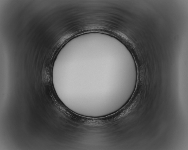 X0000086880929200705071158