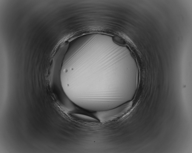 X0000086880930200705071158