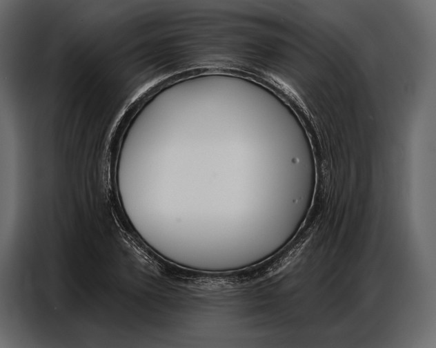 X0000086880931200705071158