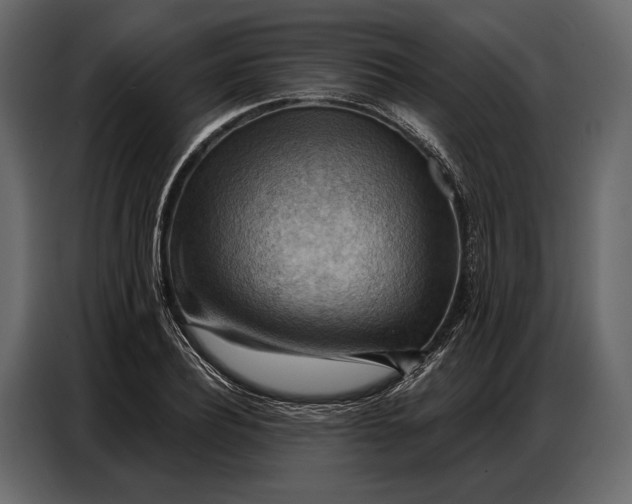 X0000086880932200705071159