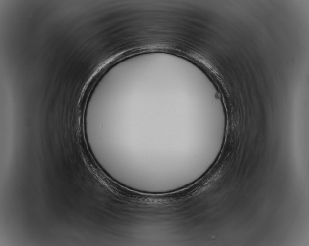 X0000086880933200705071159