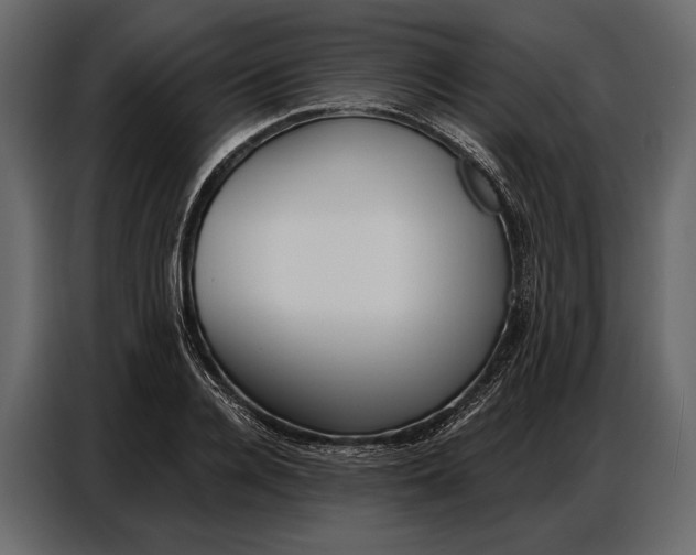 X0000086880936200705071159