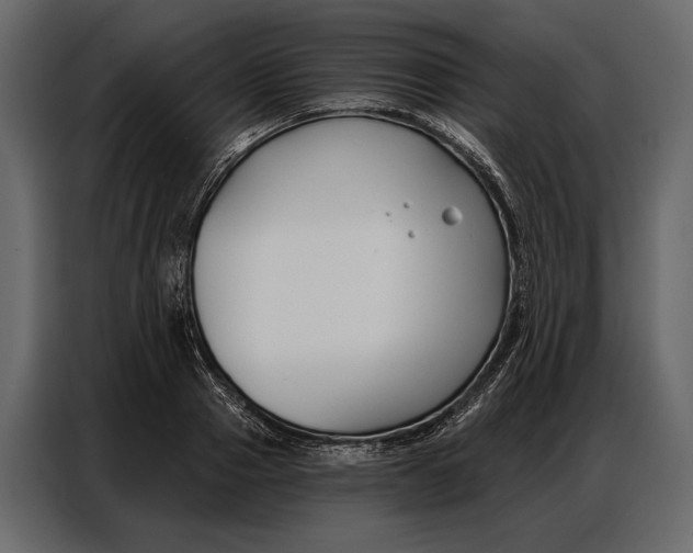 X0000086880937200705071159