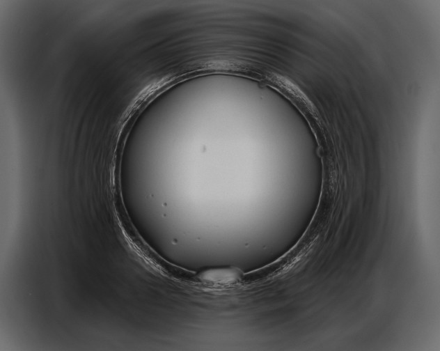 X0000086880938200705071159