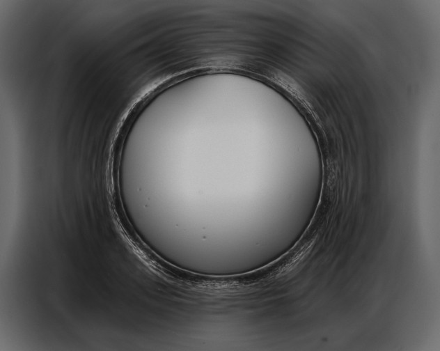 X0000086880939200705071159