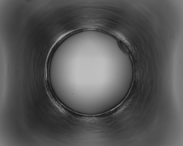 X0000086880940200705071159