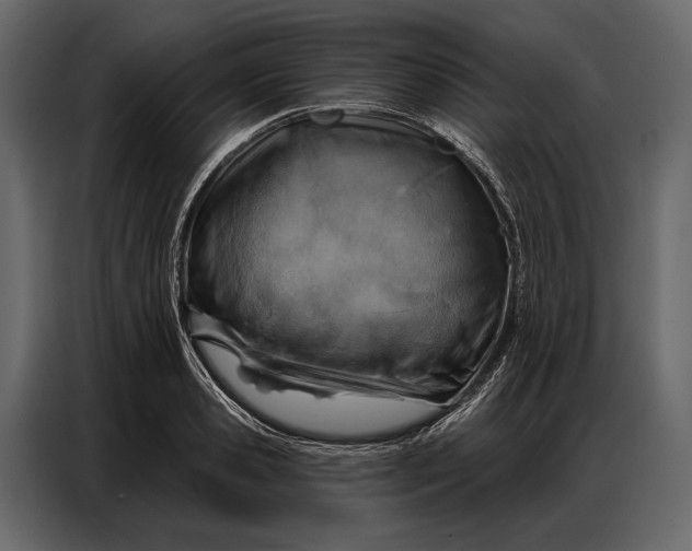 X0000086880941200705071159