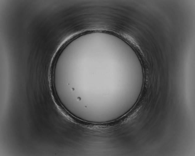 X0000086880942200705071159