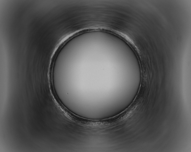 X0000086880943200705071159