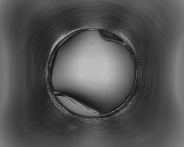 X0000086880944200705071159