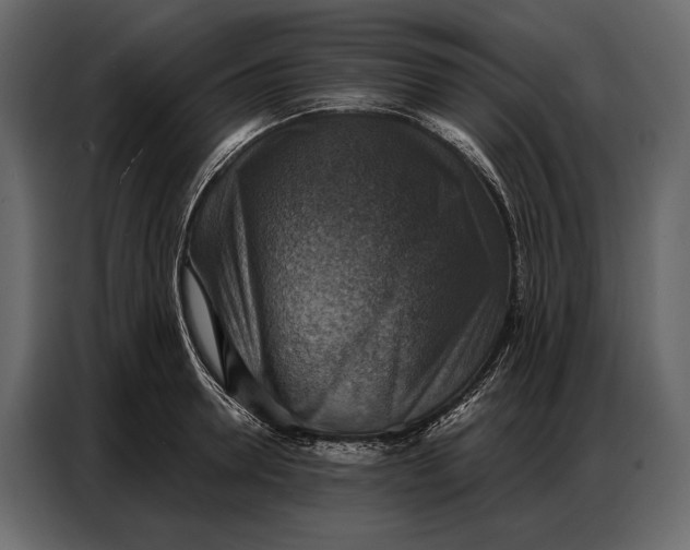 X0000086880946200705071159