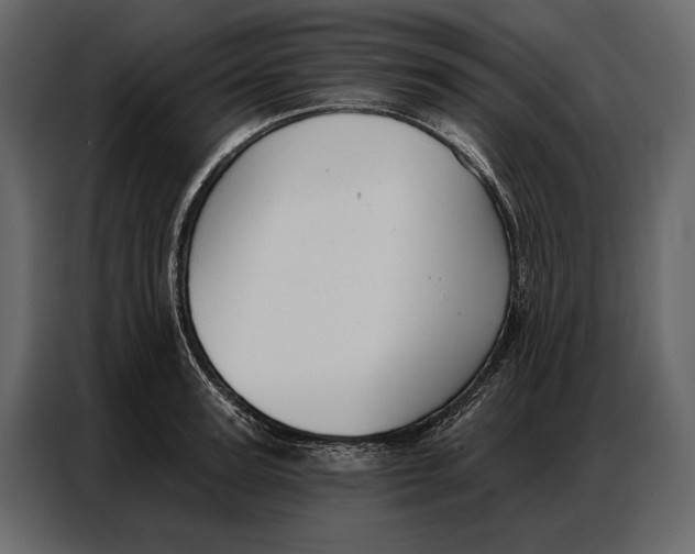 X0000086880947200705071159