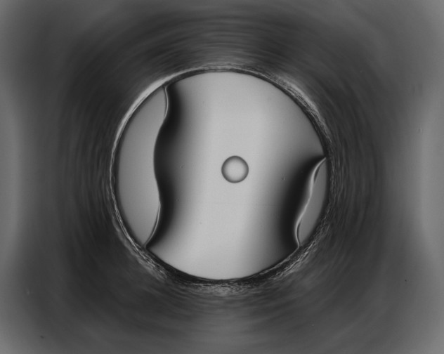 X0000086880948200705071159