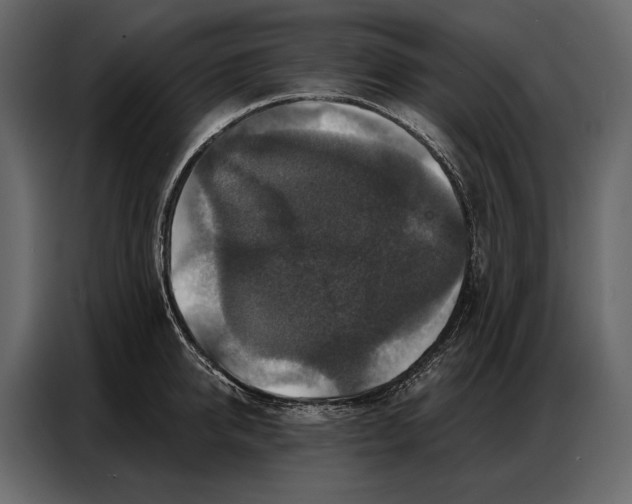 X0000086880950200705071159