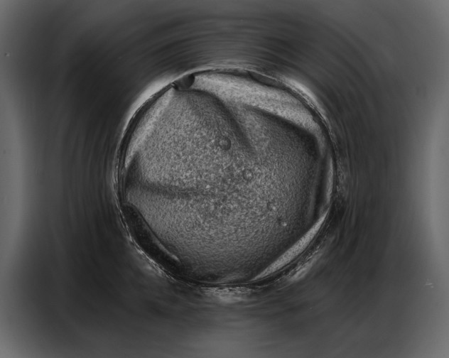 X0000086880952200705071159