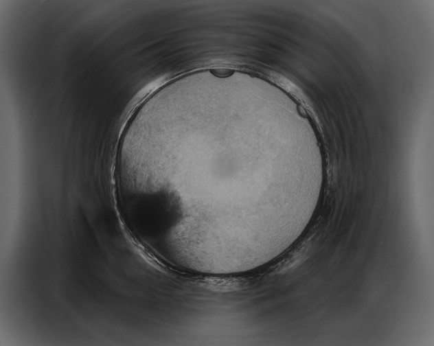 X0000086880954200705071159