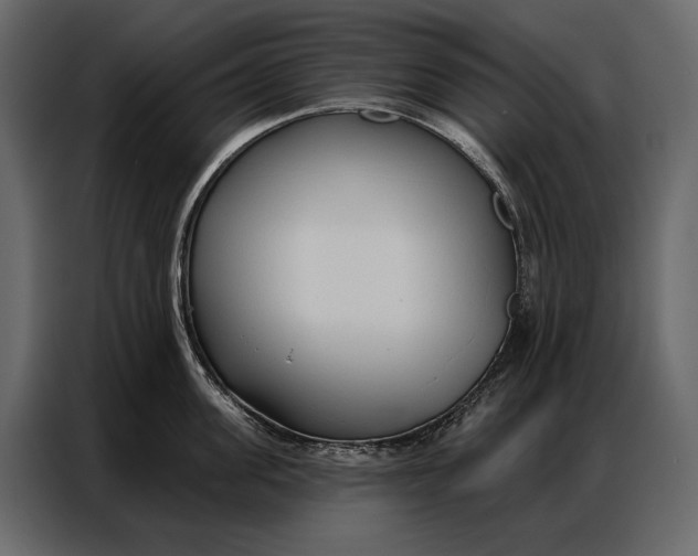 X0000086880955200705071159