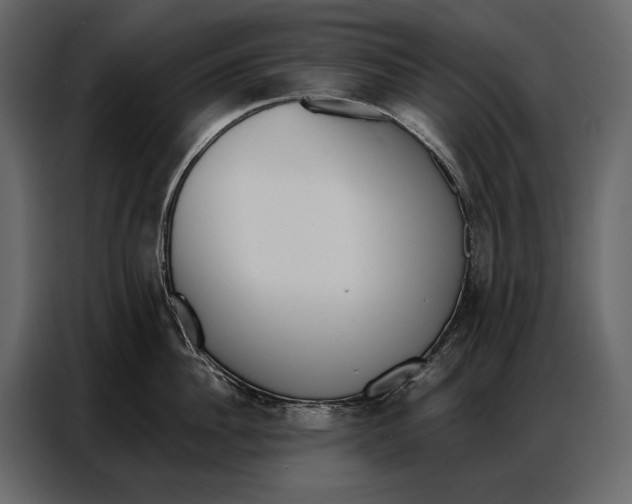 X0000086880956200705071159