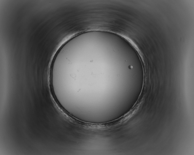 X0000086880957200705071159