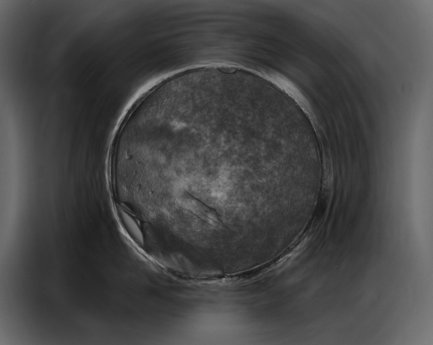 X0000086880958200705071159