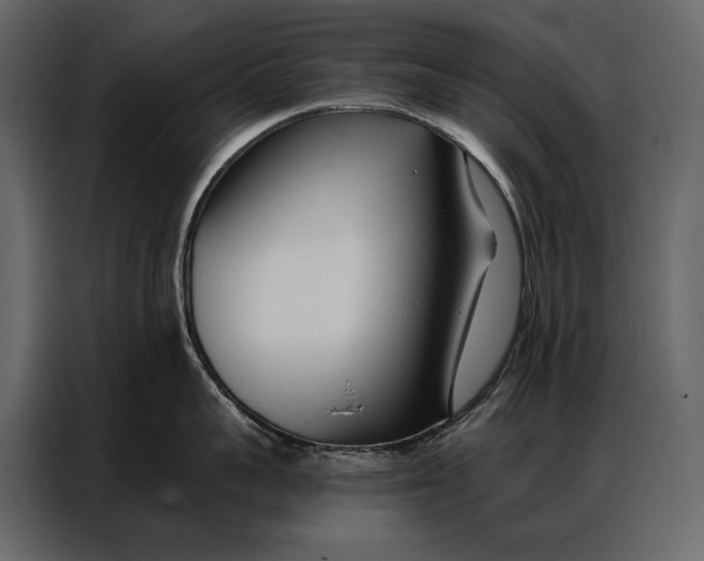 X0000086880959200705071159