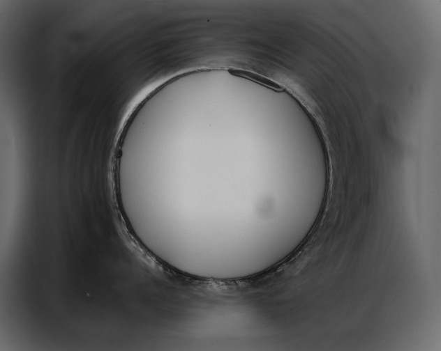 X0000086880960200705071159