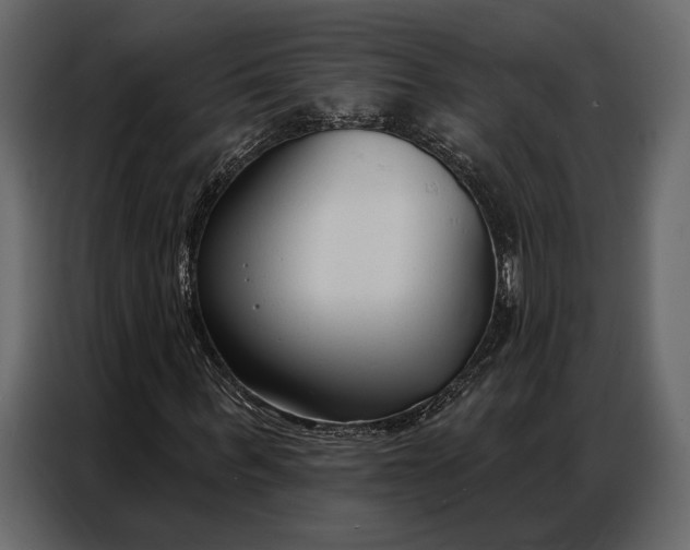 X0000086880963200705071158