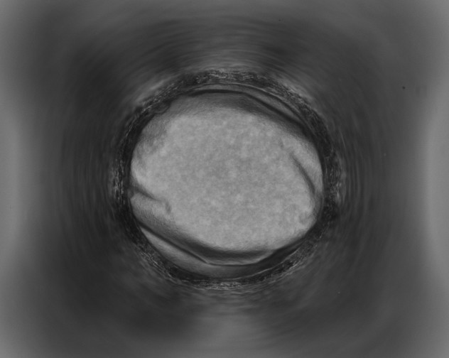 X0000086880966200705071158