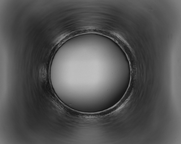 X0000086880969200705071158