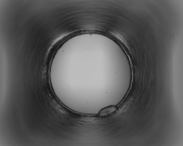 X0000086880971200705071158