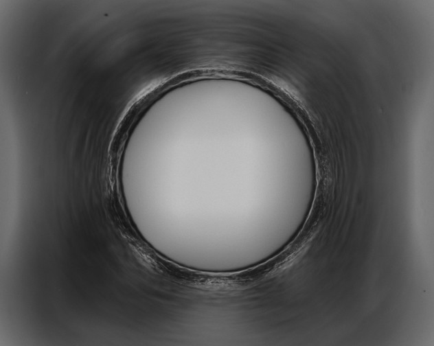 X0000086880974200705071158