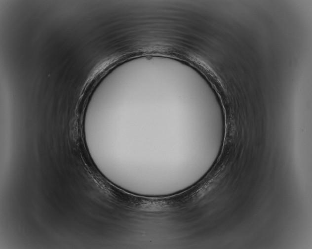 X0000086880978200705071158