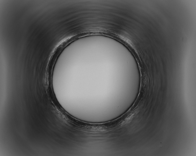 X0000086880979200705071158