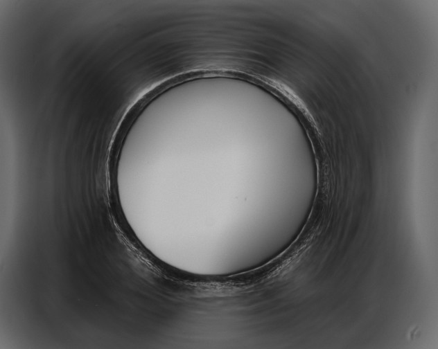 X0000086880980200705071158