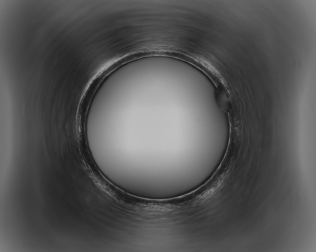 X0000086880981200705071158