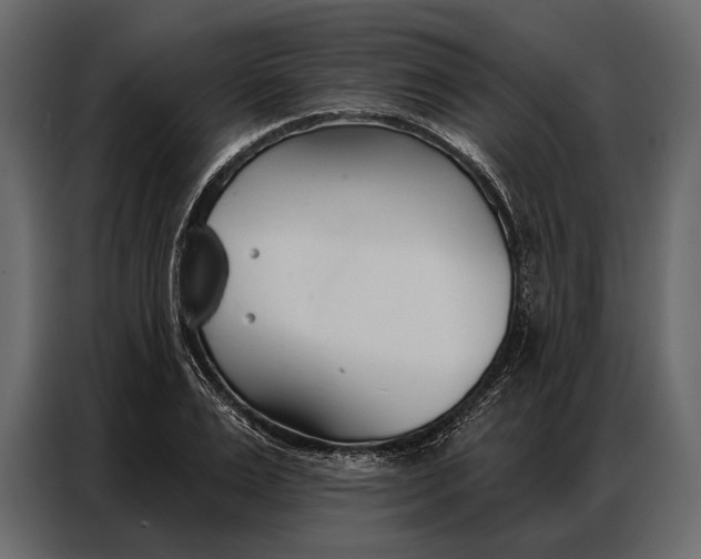 X0000086880983200705071158