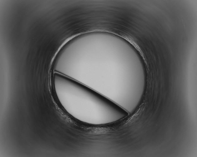 X0000086880984200705071158